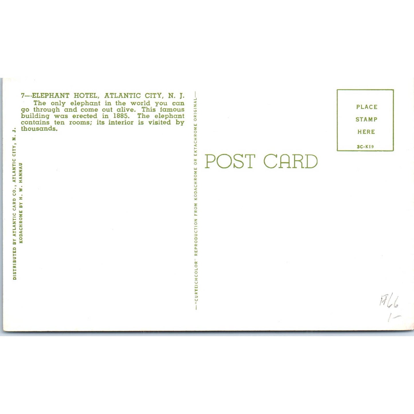 Elephant Hotel Atlantic City New Jersey Original Postcard TK1-P13