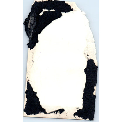 Early Photograph Girls in Corn Field One Wearing Baseball Uniform 2x4 AD8-P10