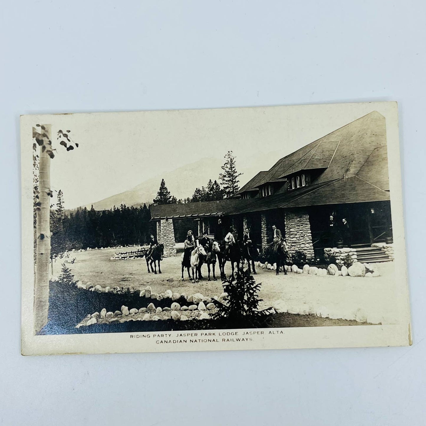 Vintage Postcard RPPC ALBERTA CANADA Jasper Park Lodge Mountains Horses PA8