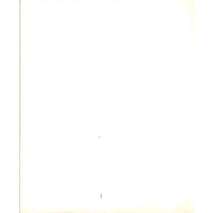 c1970 Original Photograph Waddle of Penguins in the Wild 8x10" AD6