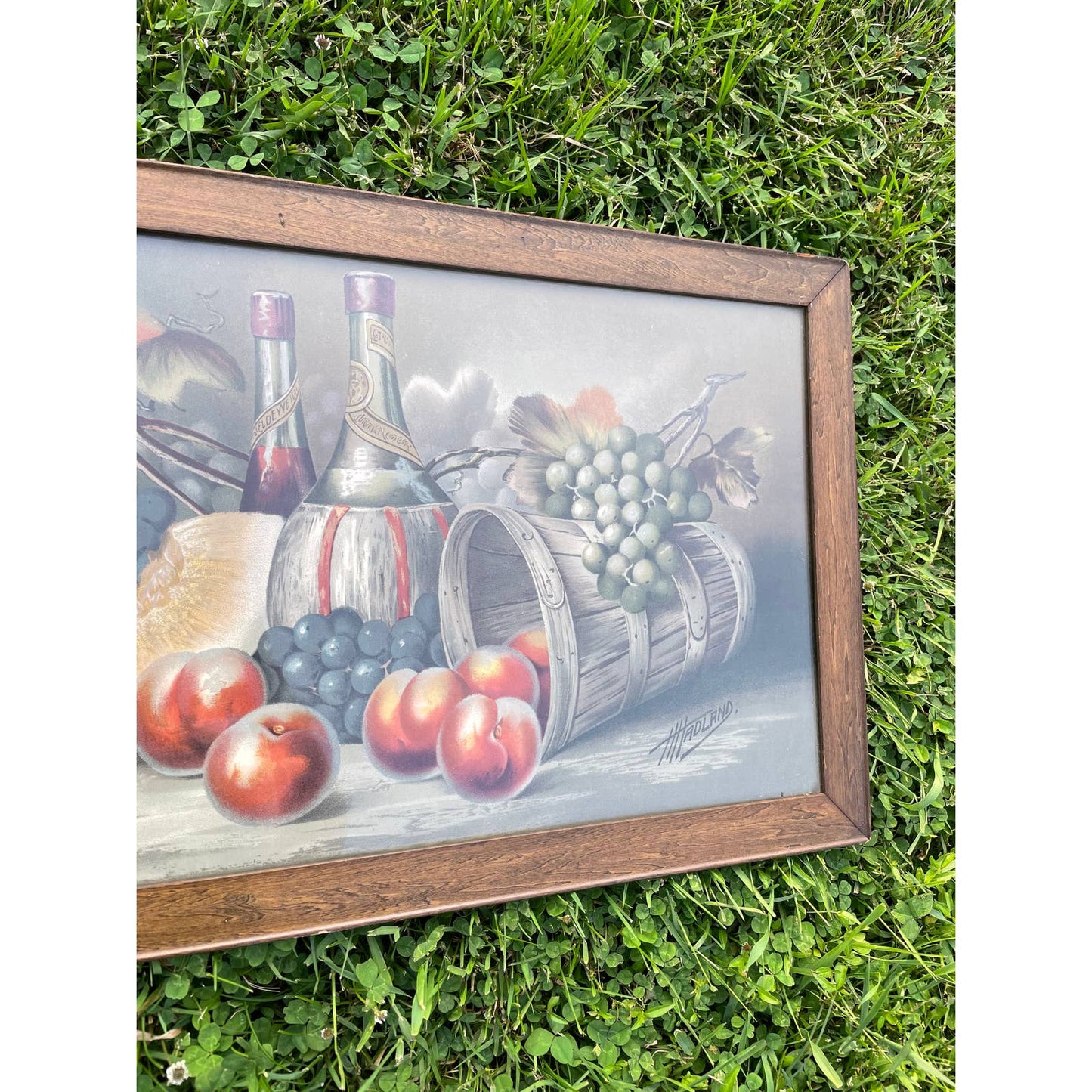 Antique Vintage H Hadland Chromolithograph Print Wall Art Framed