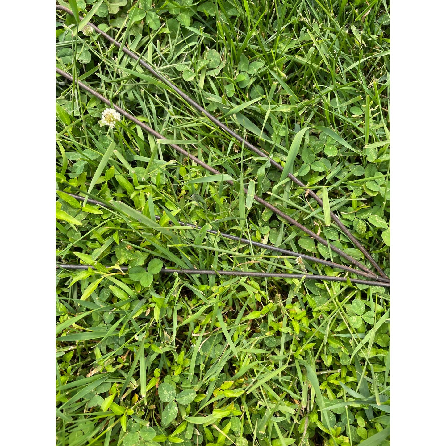 Antique Rustic Primitive Rug Beater