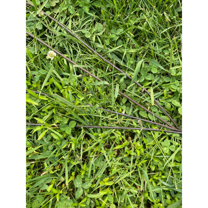 Antique Rustic Primitive Rug Beater