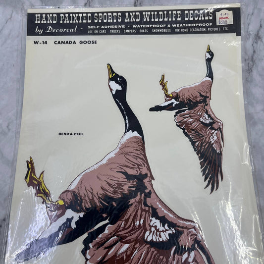 1977 NEW NOS Decorcal Sports & Wildlife Decal W-14 Canada Goose Hunting FL5