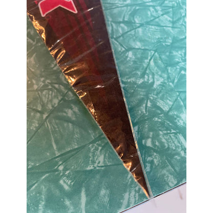NIP New in Package NC North Carolina Speedway Racing at The Rock Pennant TD8
