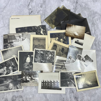 1920s Collection of Photos & Negatives of Birds and Animals TJ9-PG4