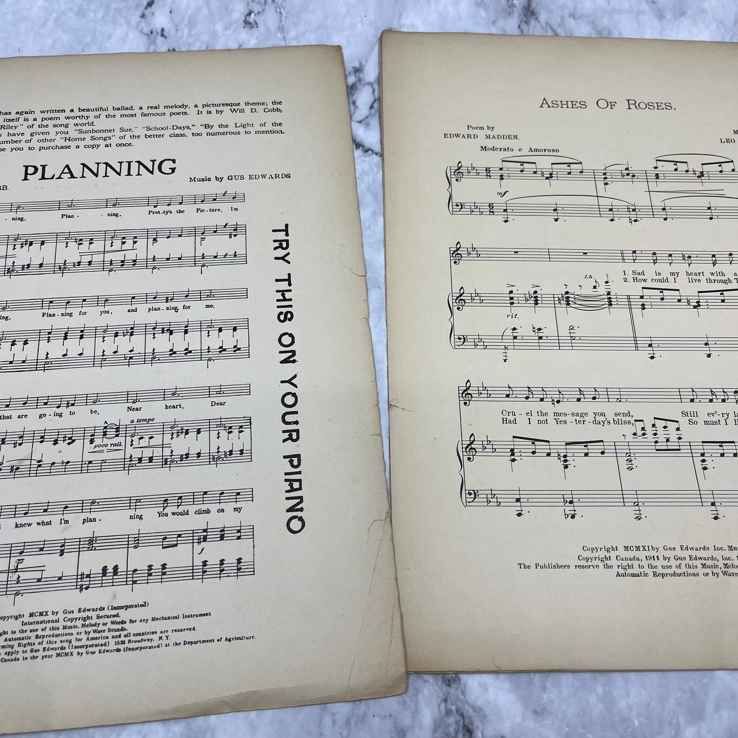 Ashes of Roses 1911 Sheet Music Edward Madden Leo Edwards Bessy Wynn Cover V41-3
