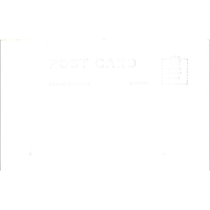 Mt. McKinley RPPC Alaska Original Postcard TK1-30