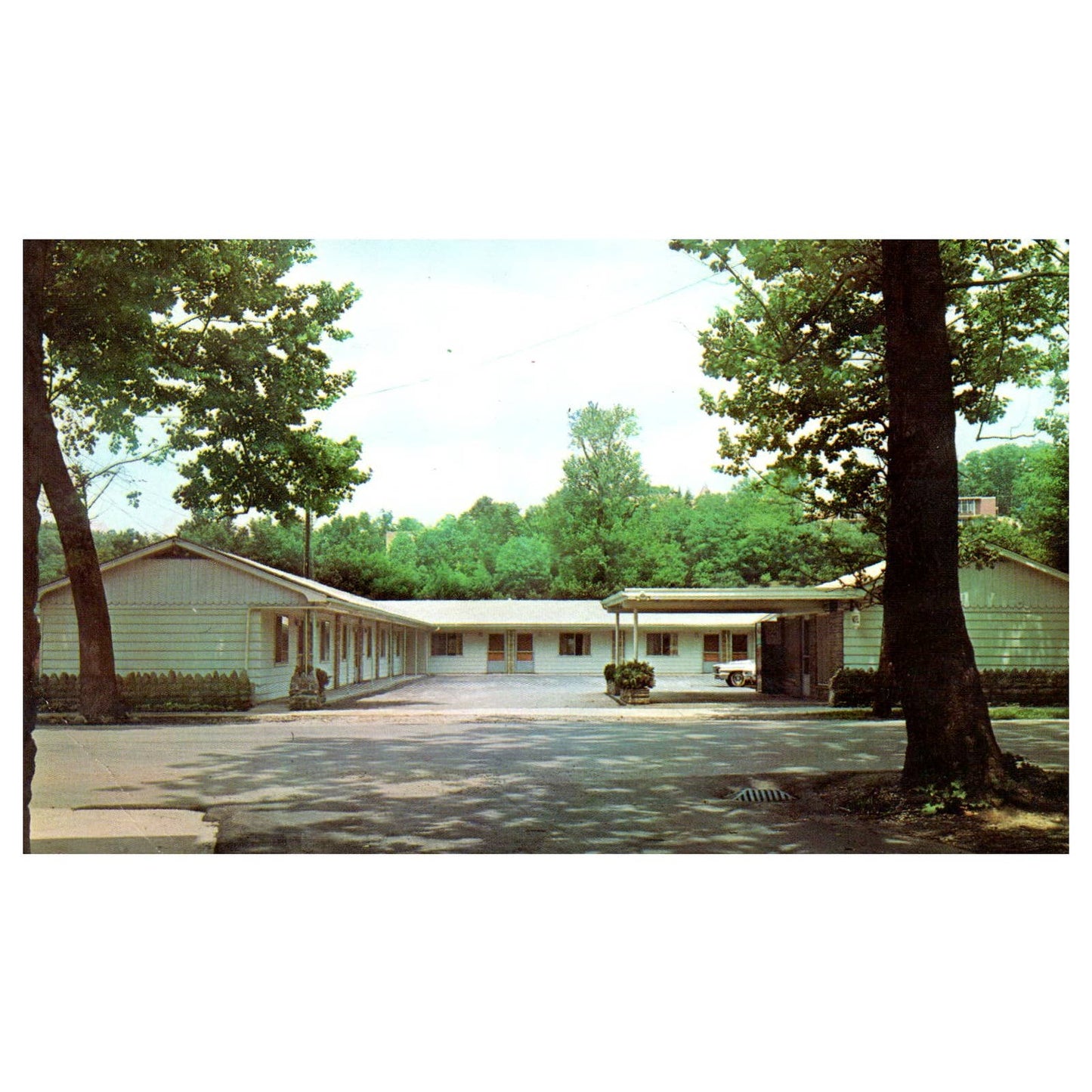 Vintage Postcard - Iron Horse Motel Elkins West Virginia AD9