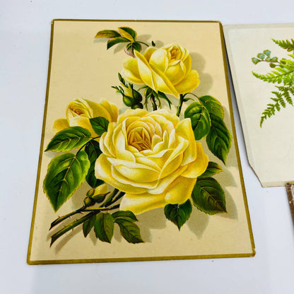 1880s Victorian Embossed Card Scrap Set of 8 Flowers Roses 6” EA2