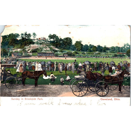 Antique Postcard Sunday in Brookside Park Cleveland Ohio TD9