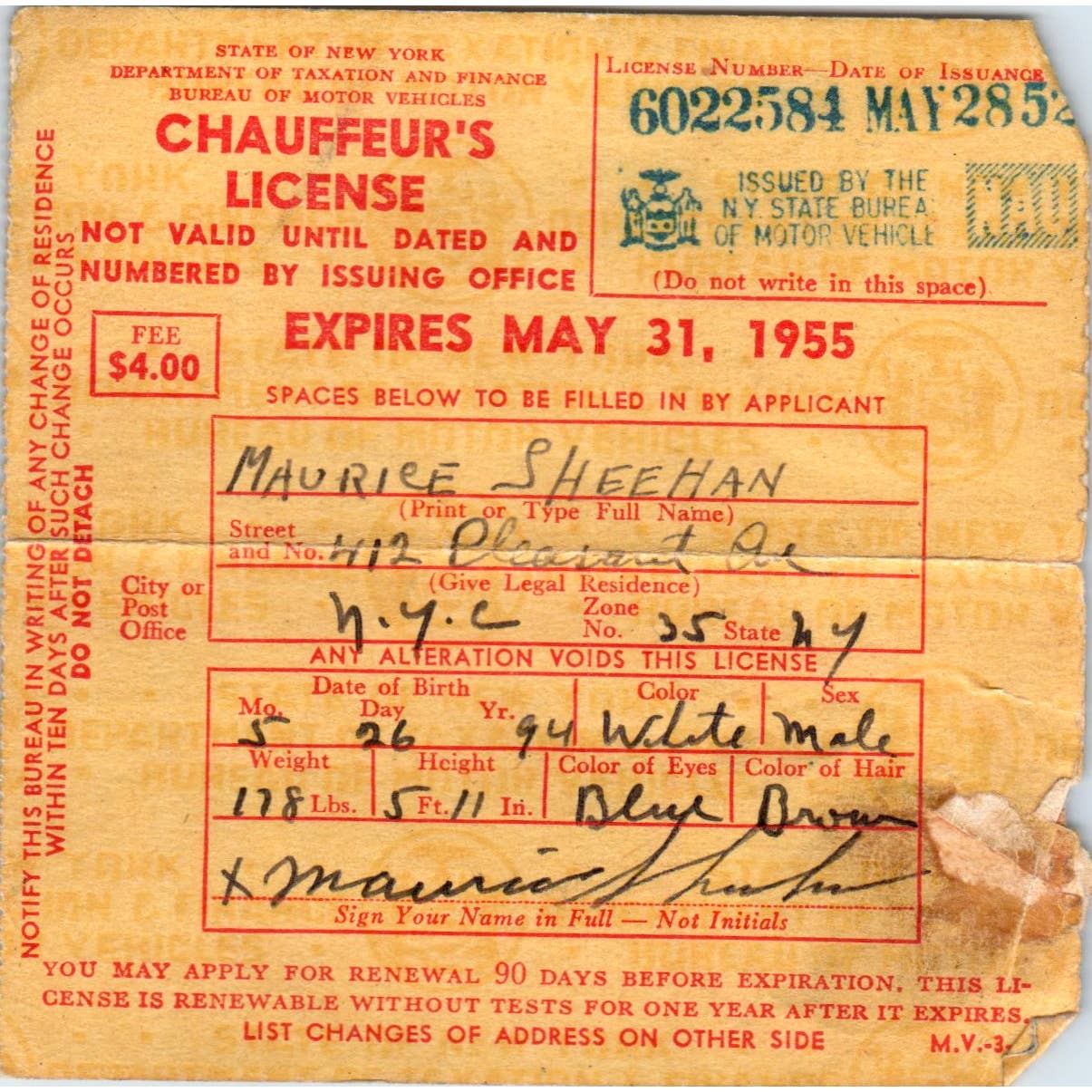 1955 Chauffeur's License Maurice Sheehan New York SE5