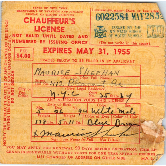 1955 Chauffeur's License Maurice Sheehan New York SE5