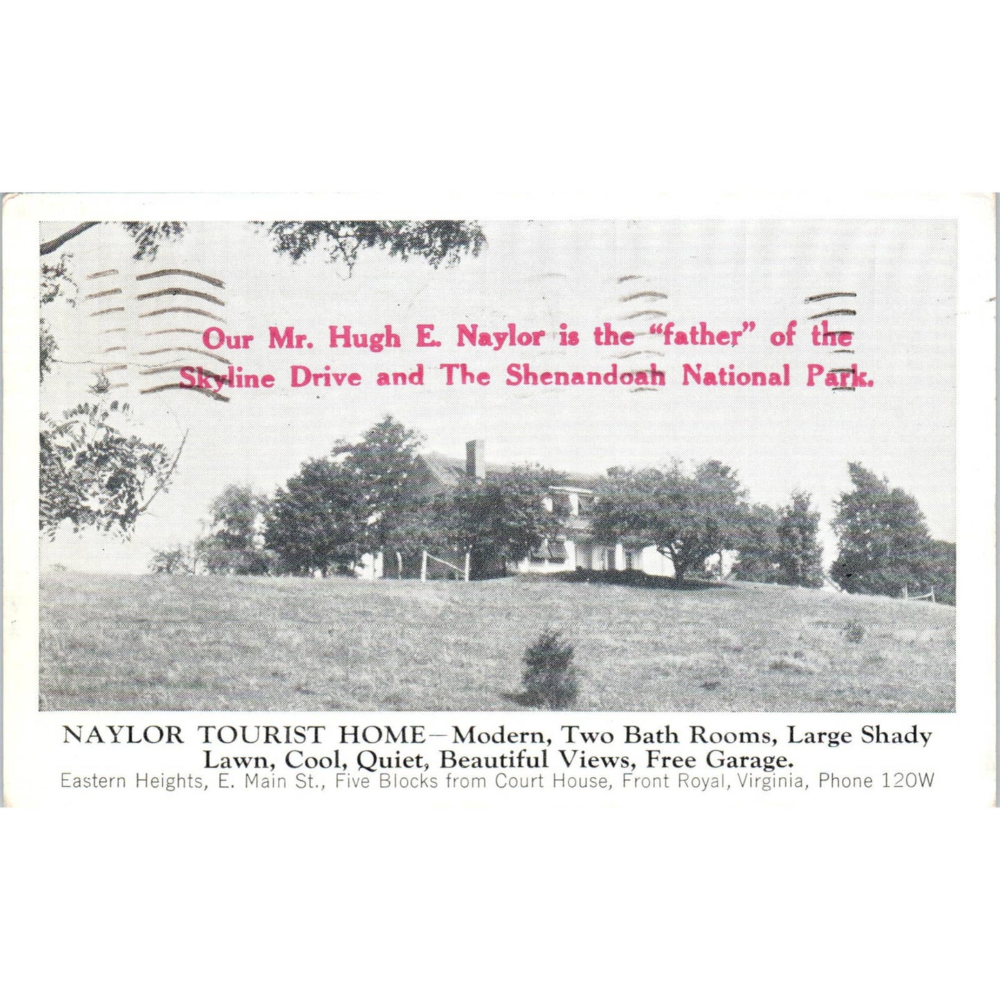 Naylor Tourist Home Front Royal Virginia 1940 - Original Postcard TJ7-RP2