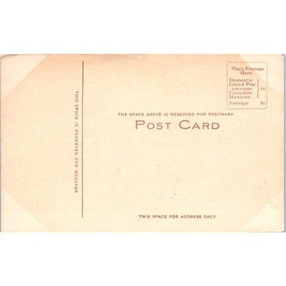 Carnegie Library Antigo Wisconsin c1910 Original Postcard TJ9-P3