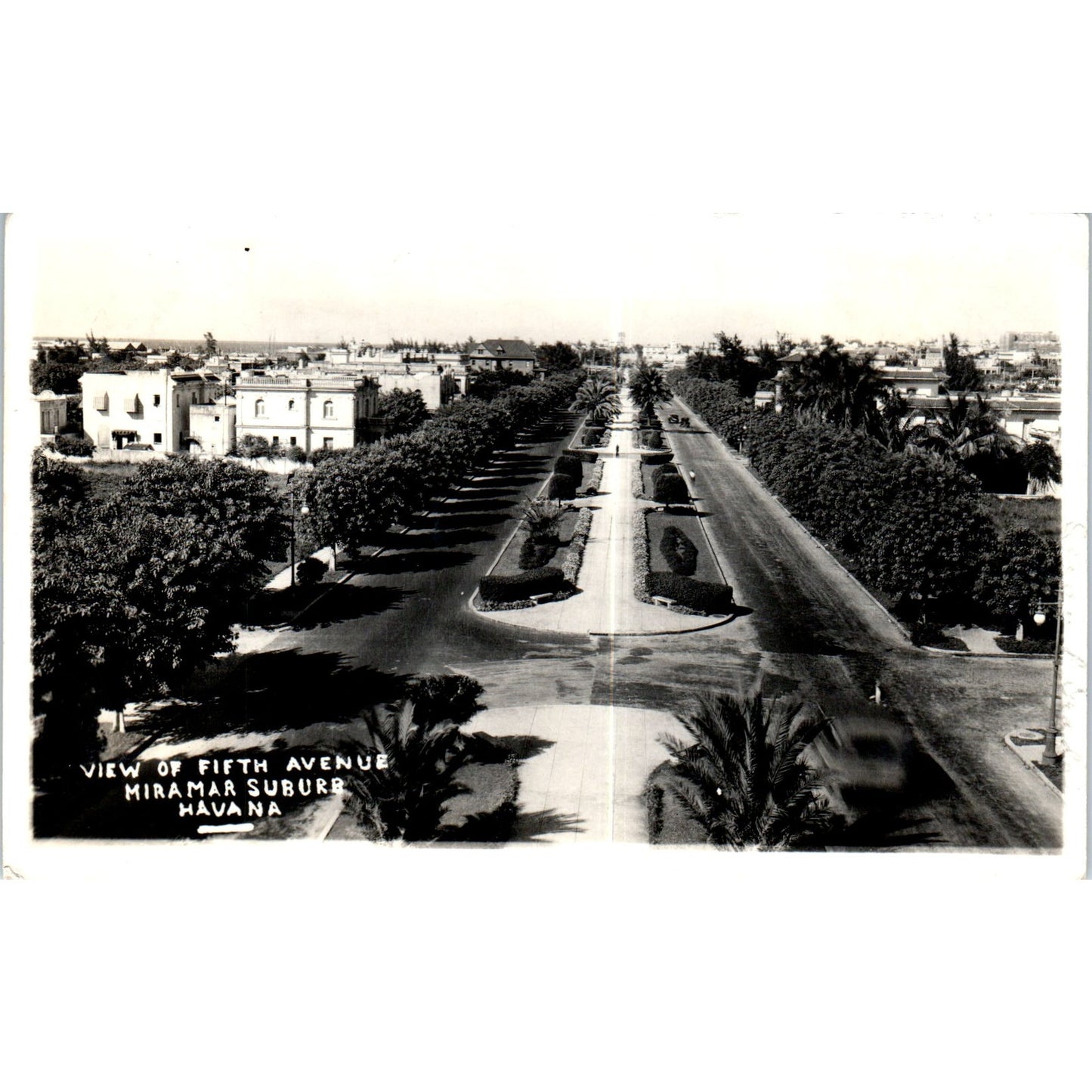 View of 5th Avenue Miramar Suburb Havana Cuba RPPC Original Postcard P3-1