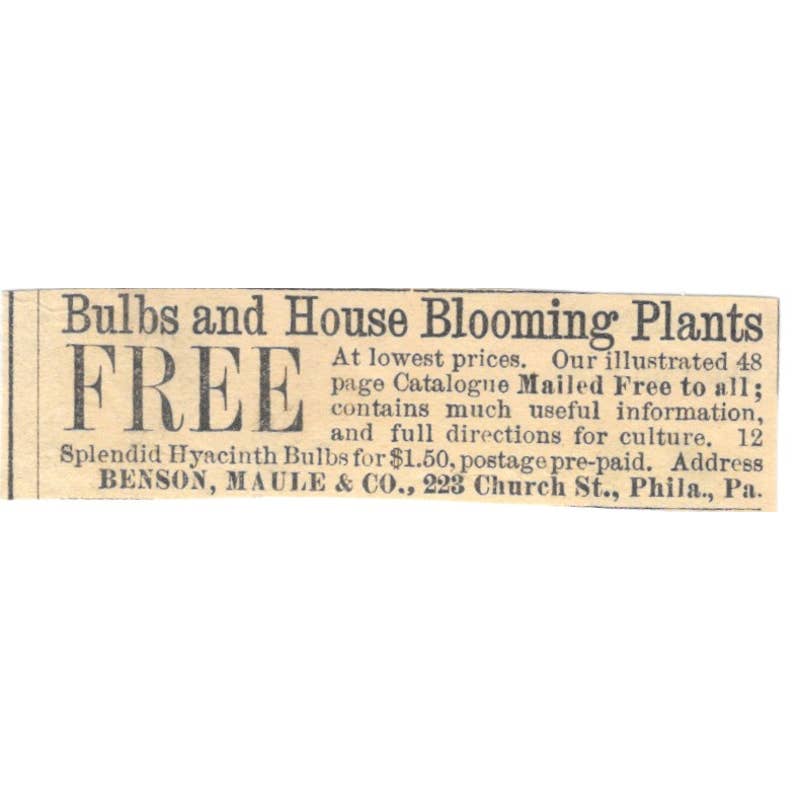 Bulbs & House Plants Benson, Maule & Co Philadelphia - Ad 1878 Original TJ7-L2-3