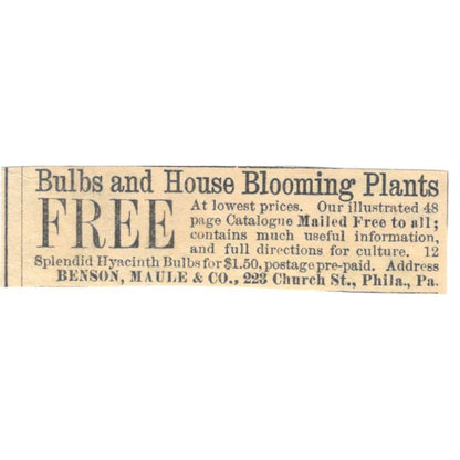 Bulbs & House Plants Benson, Maule & Co Philadelphia - Ad 1878 Original TJ7-L2-3