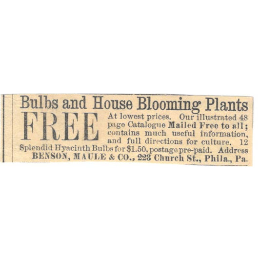 Bulbs & House Plants Benson, Maule & Co Philadelphia - Ad 1878 Original TJ7-L2-3