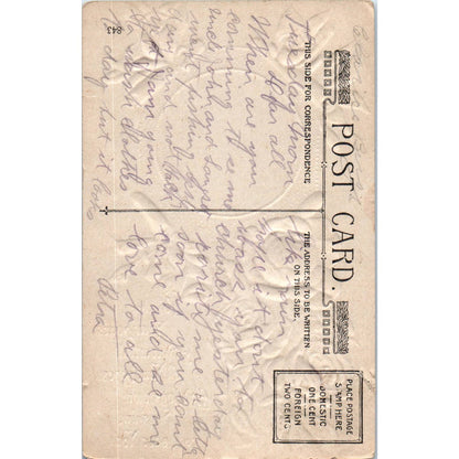 1910 Postcard Winsch Back Fluffy White Cat Pink Roses Gold SE4