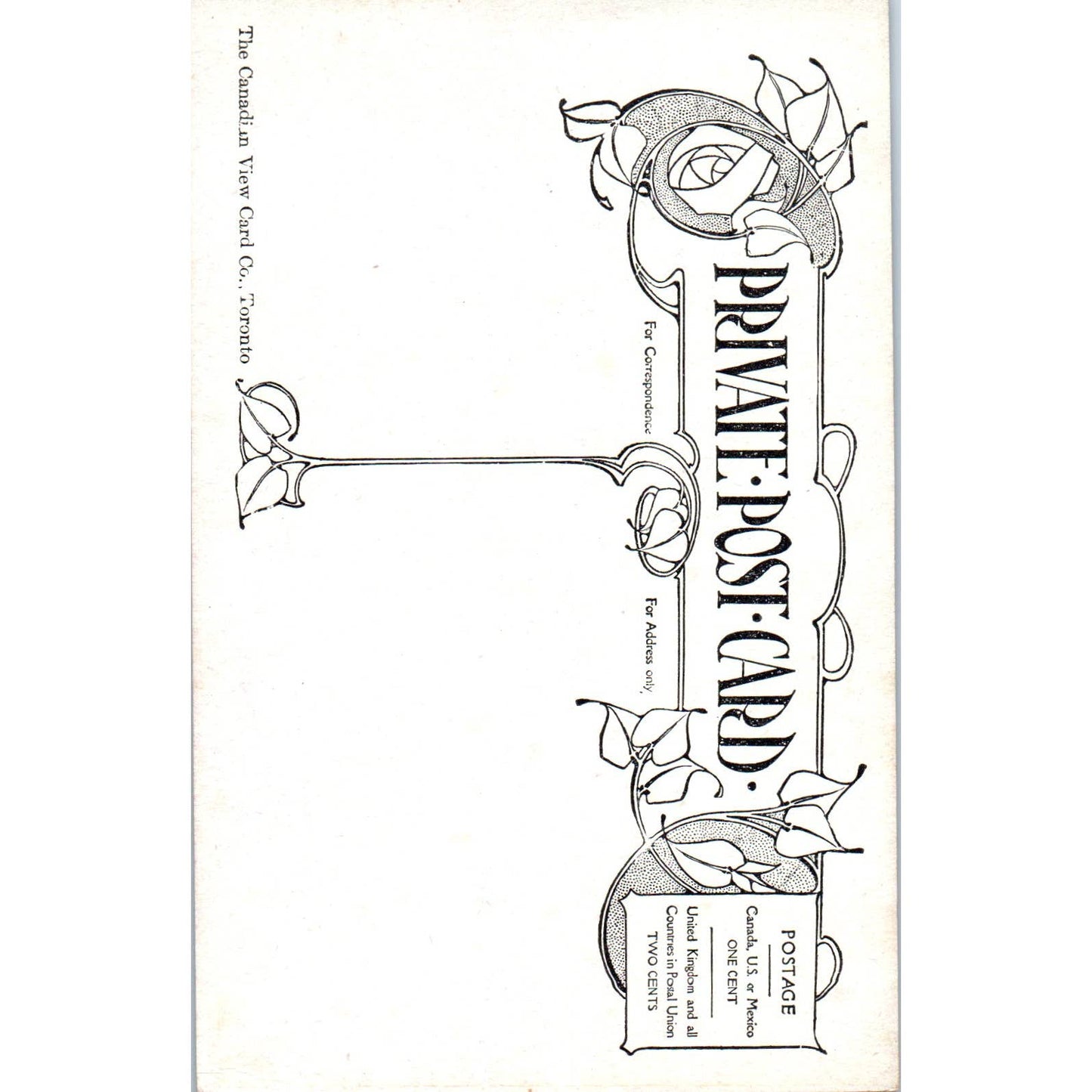 Canadian Pacific Railway Line BC Canada Natural Bridge Original Postcard TJ7-RP1