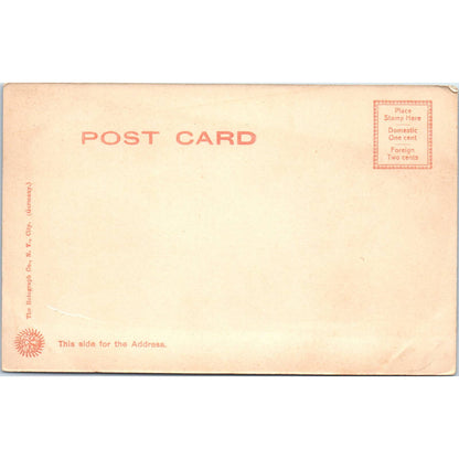 Lower Battery on the Hudson West Point NY c1905 - Original Postcard TJ7-RP1