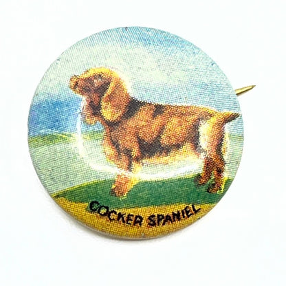 Vintage 1930s Cocker Spaniel Dog Celluloid Pinback Button SD9