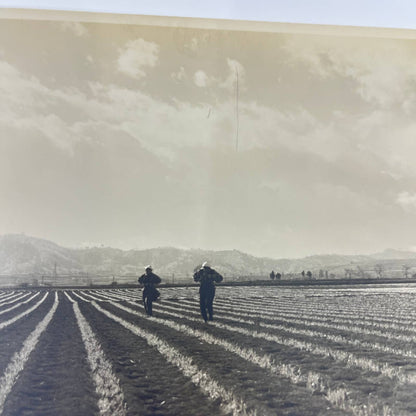 1940s Original WWII Era Photograph set of 4 Japanese Farming Village 4x6” SC5