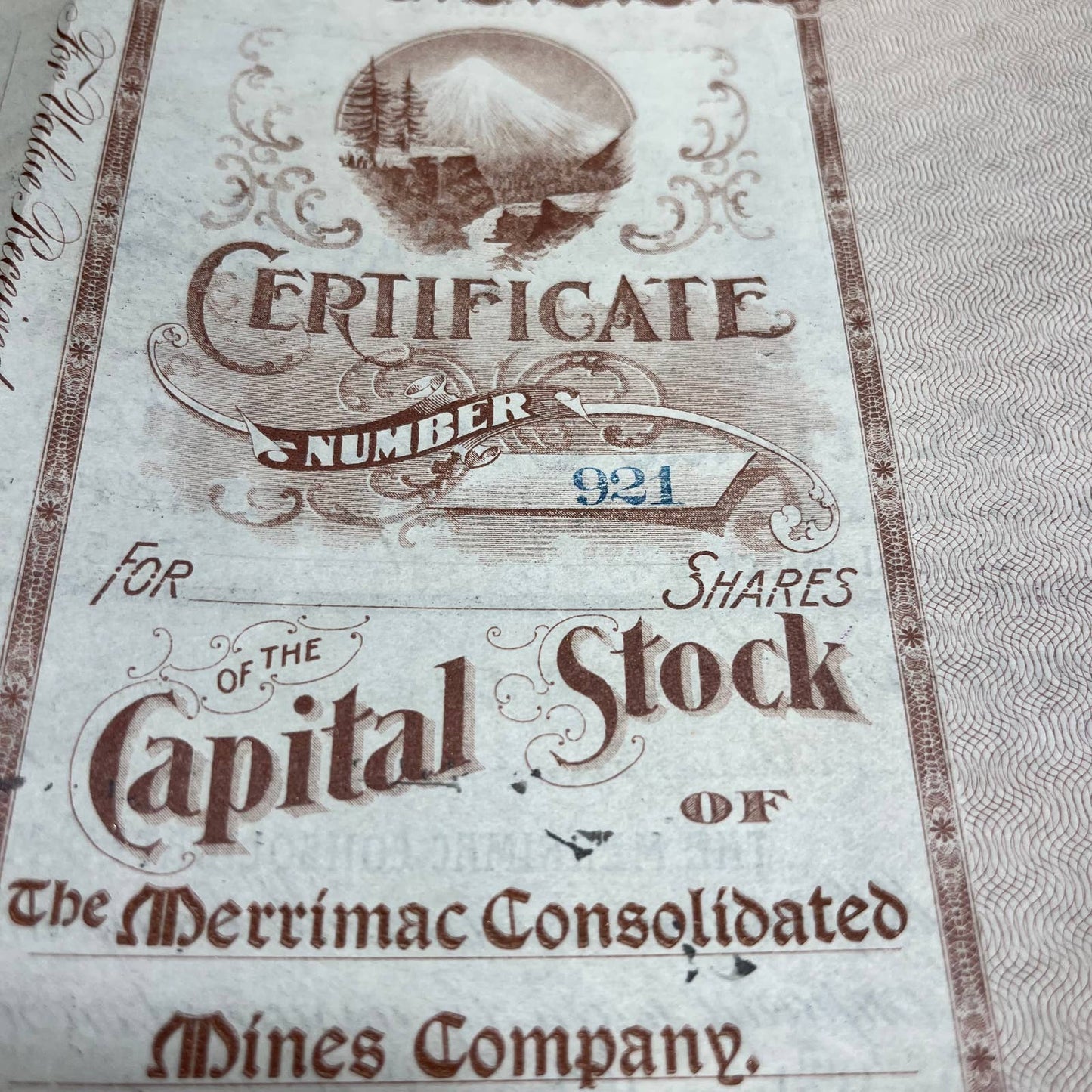Antique 1901 Stock Certificate Merrimack Consolidated Mines Company Colorado B5