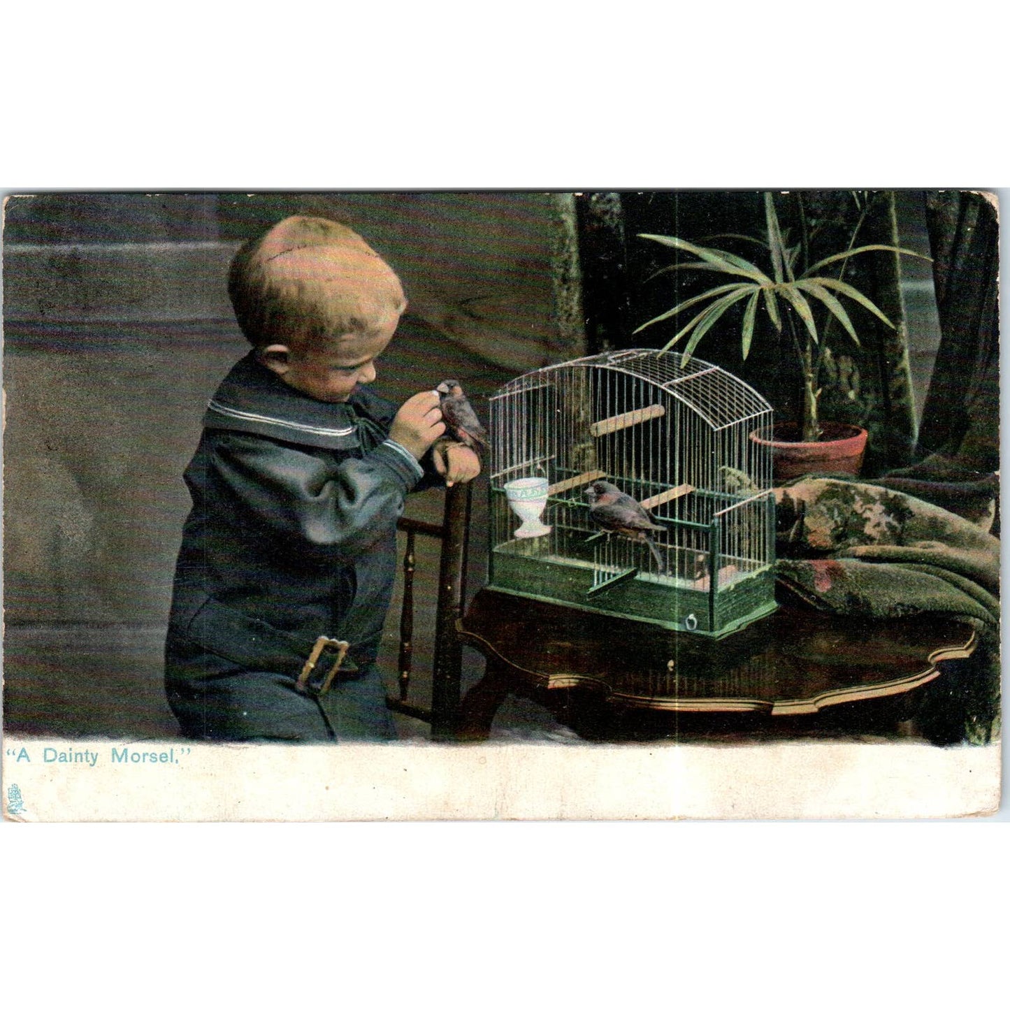Boy With Pet Birds in Cage 1908 Raphael Tuck Original Postcard TK1-P17