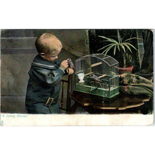 Boy With Pet Birds in Cage 1908 Raphael Tuck Original Postcard TK1-P17