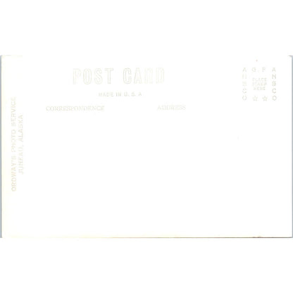 Iceberg from Columbus Glacier Alaska Original Postcard TK1-30