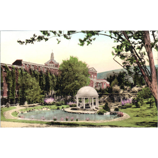 Homestead, Park and Soda Spring Virginia Hot Springs Original Postcard TK1-29