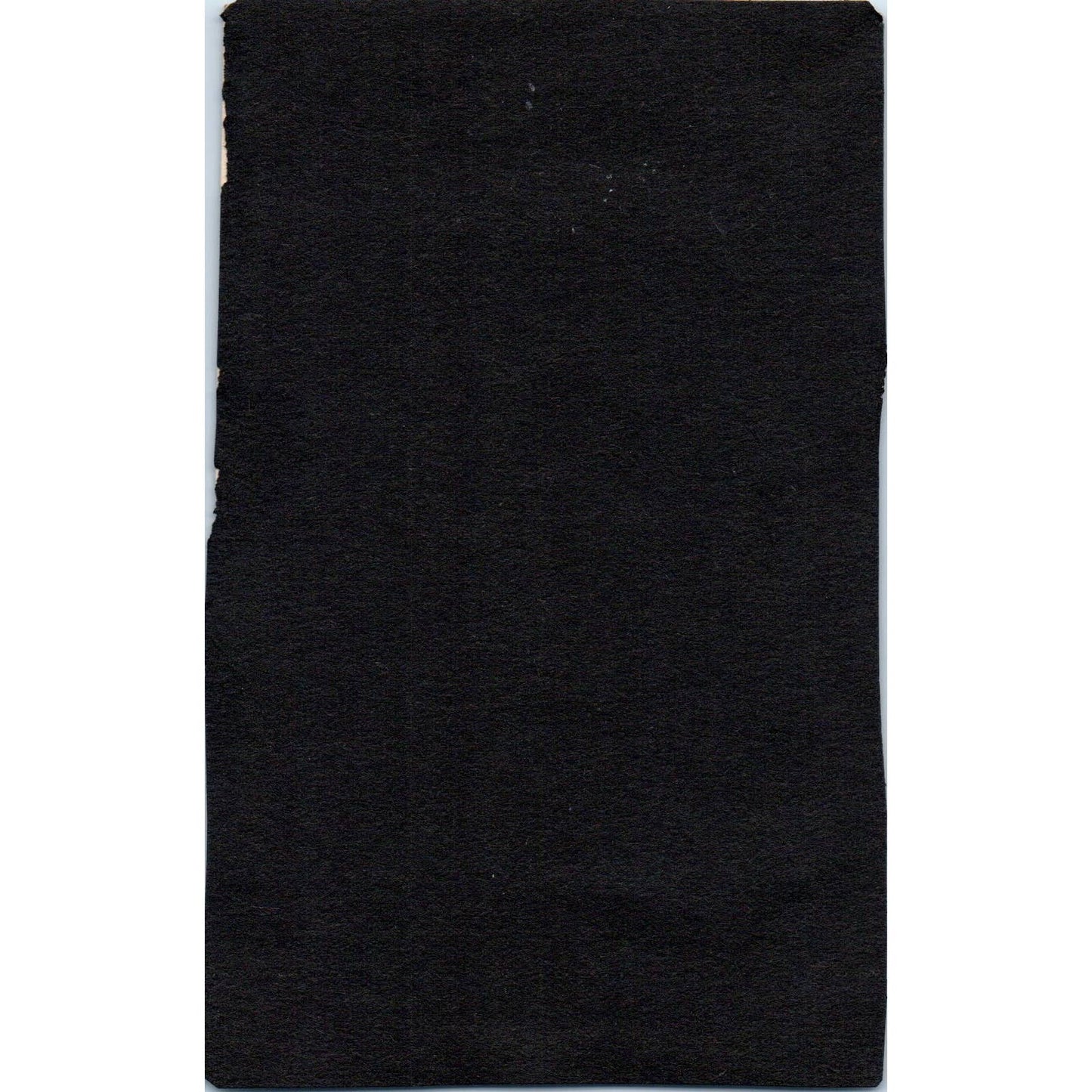 Antique Photo Victorian Celtic Women In Black Visiting Tomb Their Ancestors SE5