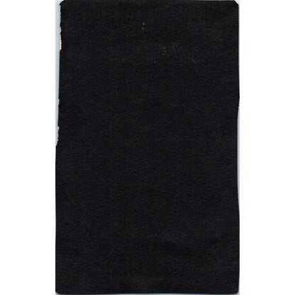 Antique Photo Victorian Celtic Women In Black Visiting Tomb Their Ancestors SE5