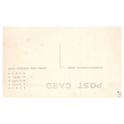 Two Men in a Horse and Buggy Carriage - Original Postcard RPPC TJ8-4