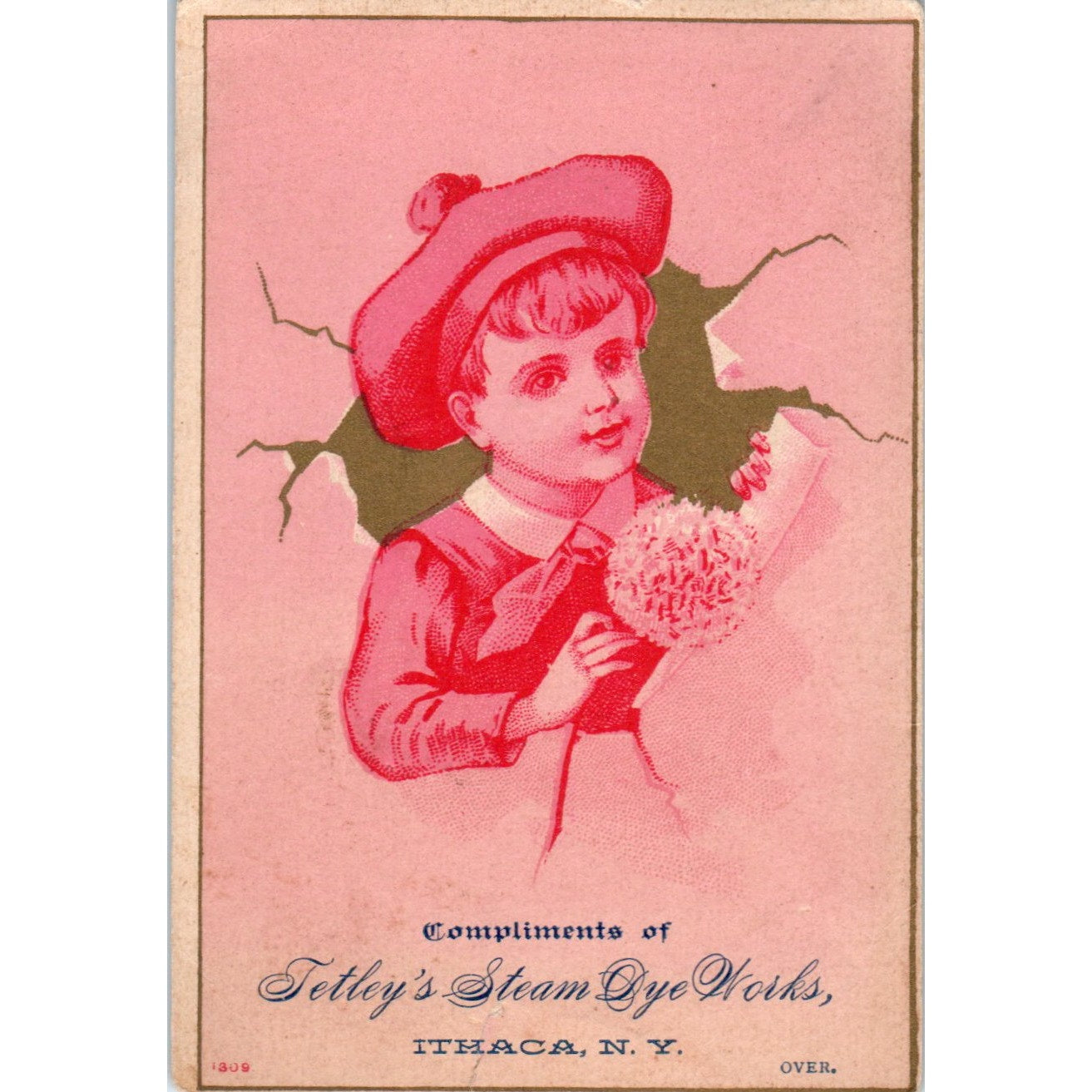 1880s Victorian Trade Card Tetley's Steam Dye Works Ithaca NY AE6-SF2