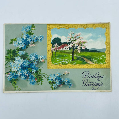 1910s Birthday Card Embossed Dresden Cherry Blossom Cottage Forget Me Not PA5