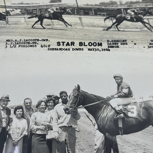 1964 Original Horse Race Winner Photo "Star Bloom" Shenandoah Downs AC5