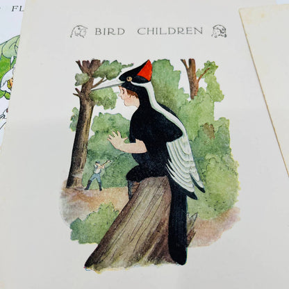 Set of 4 Bird Children MT Ross Litho Double Sided Pages and 1912 Book Cover C7