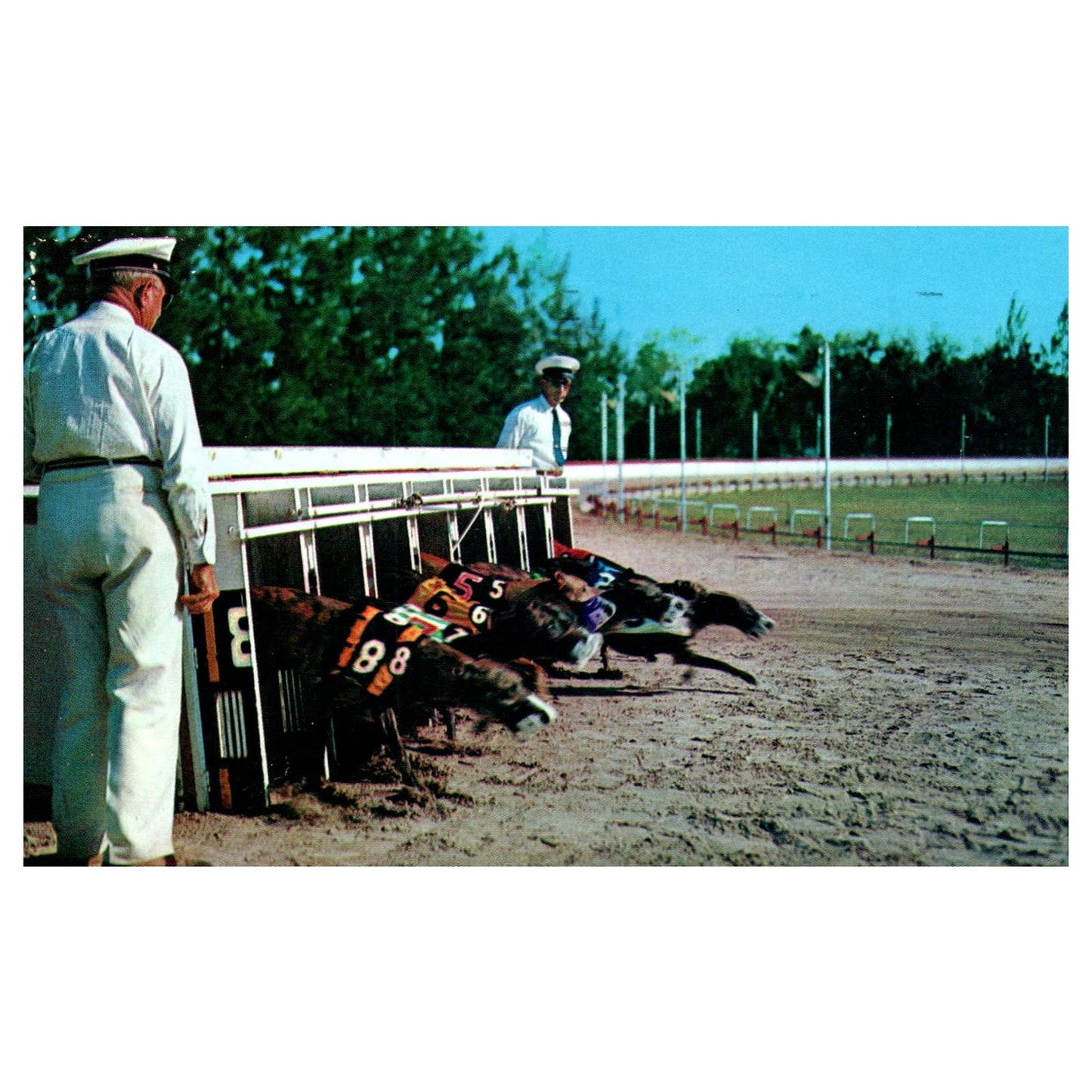 Vintage Postcard - Greyhound Racing Miami Florida 1958 AD9