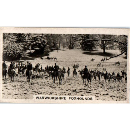 1932 Wills Cigarette Cards Homeland Events Warwickshire Foxhounds #5 SE5