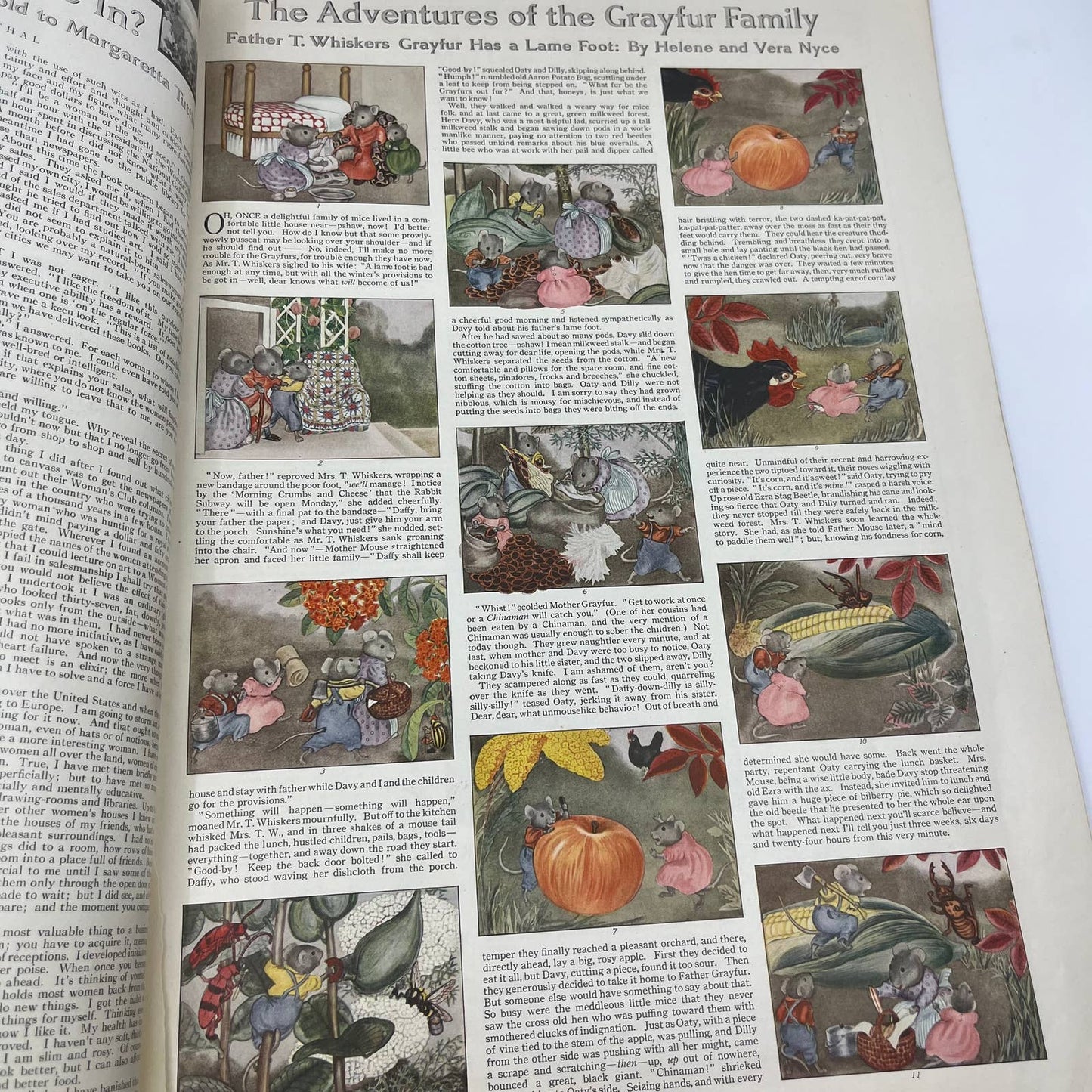 The Ladies Home Journal, September 1916, Kellogg's Pyrex Campbells Audubon TH6