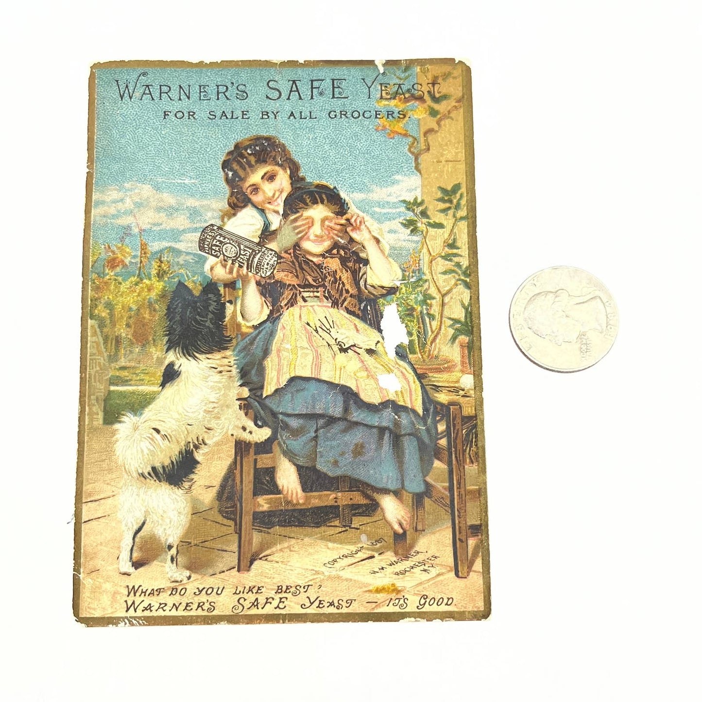 1887 Victorian Trade Card Warner’s Safe Yeast Girls With Dog AB8