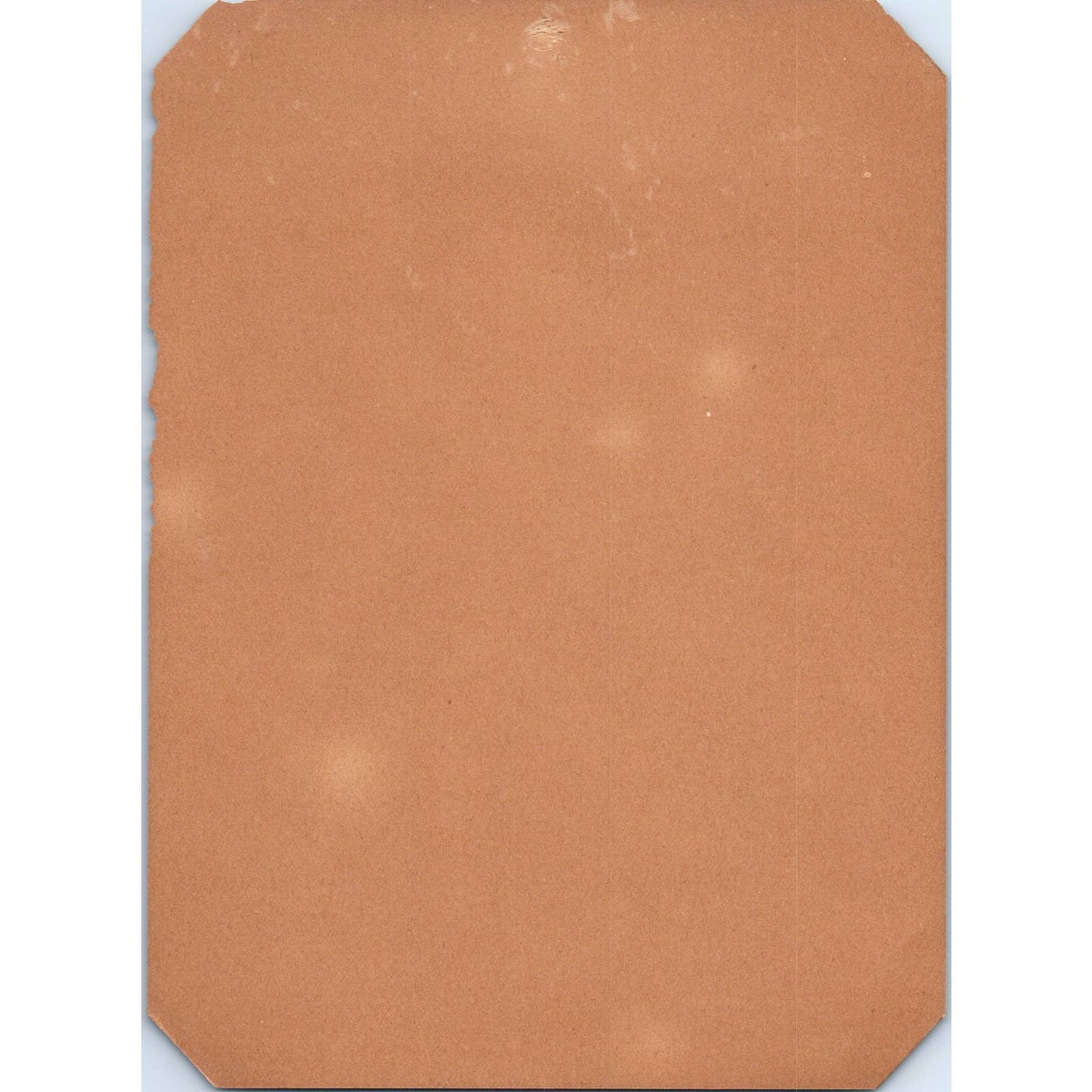 Antique Victorian Picture Print Little Boy with Rabbit 5x7 TJ1-2