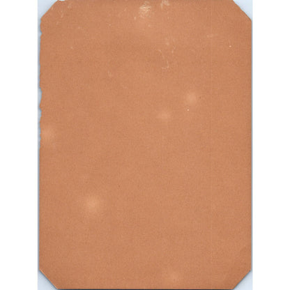 Antique Victorian Picture Print Little Boy with Rabbit 5x7 TJ1-2