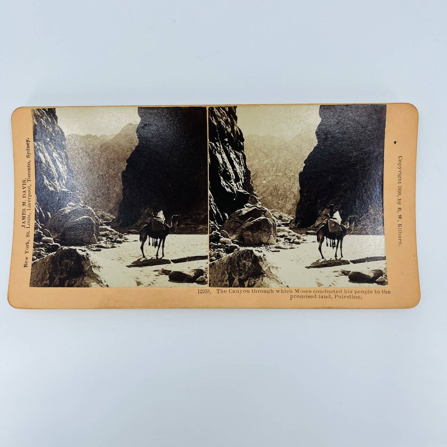 1899 Stereoview Canyon Where Moses Led His People to the Promised Land Palestine