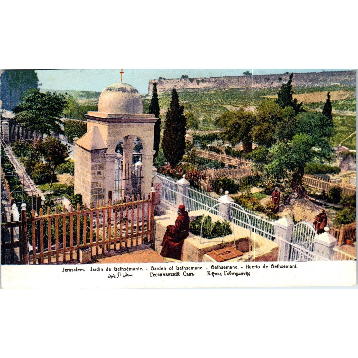 Jerusalem Garden of Gethsemane Original Postcard TK1-P19