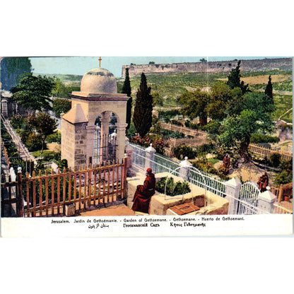 Jerusalem Garden of Gethsemane Original Postcard TK1-P19