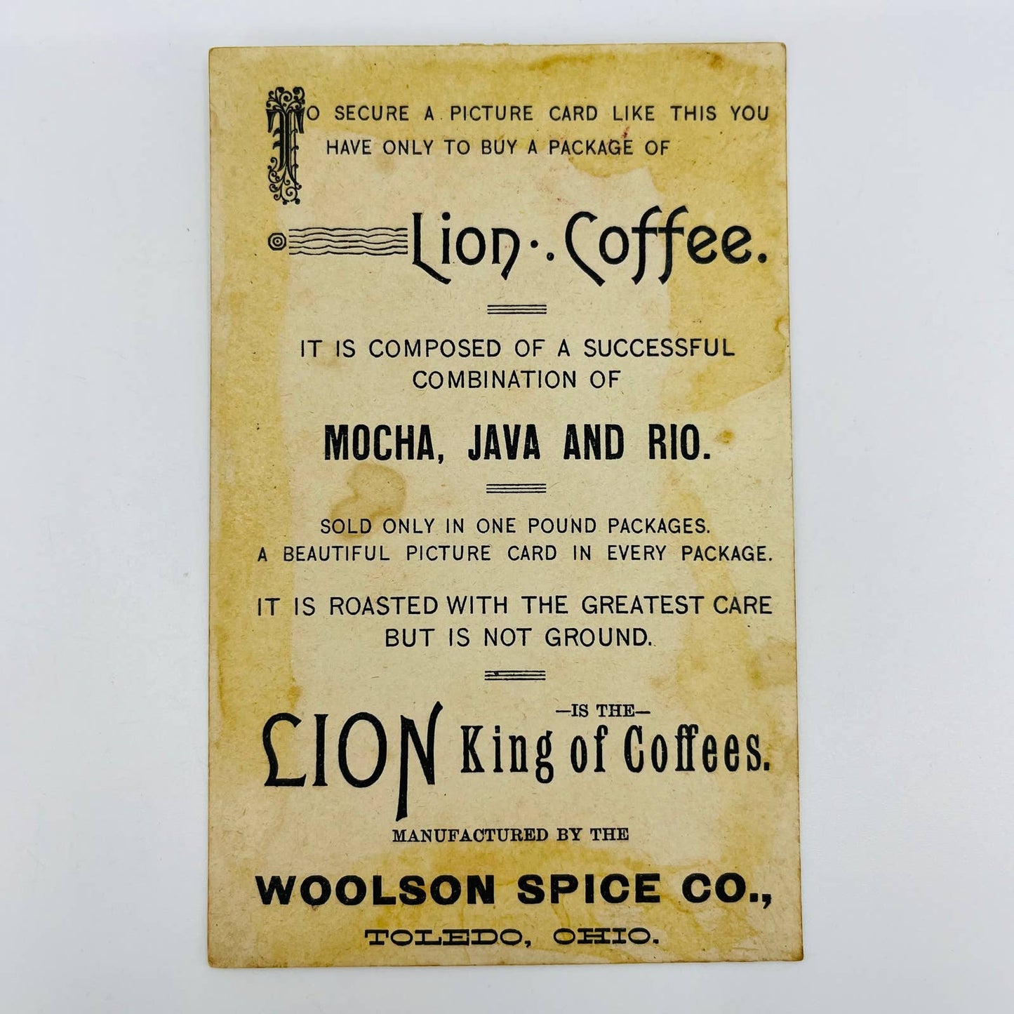 Victorian 1880s Trade Card Lion Coffee Woolson Toledo OH Birds & Roses AA2